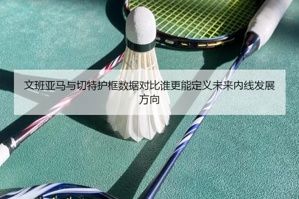 文班亚马与切特护框数据对比谁更能定义未来内线发展方向